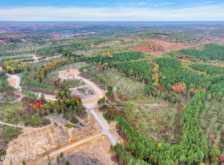 Davis Rd, Sunbright, TN 37872