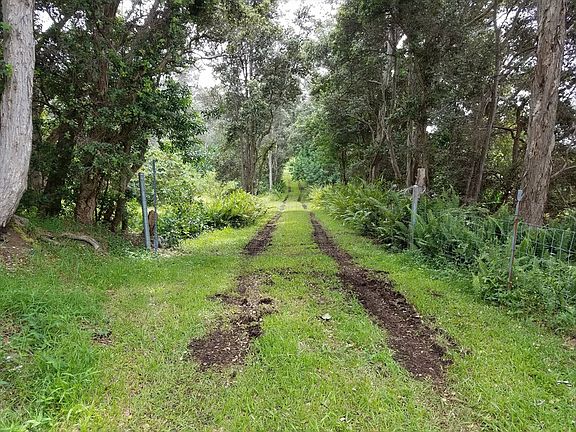 4th image of Lot 10