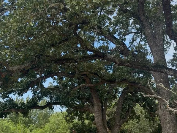 176 Whispering Pines Dr, Bastrop, TX 78602