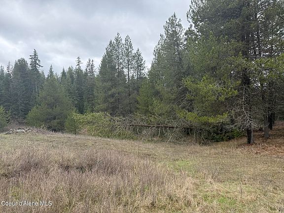 5th image of PARCEL 200 Owl Creek Ln