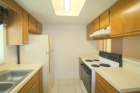 4th image of 8754 Pinehammock Ct
