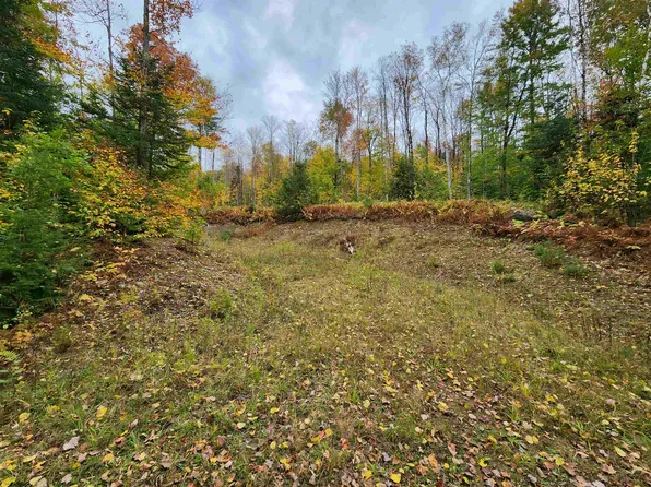8 Gardiner Drive, Londonderry, VT 05148