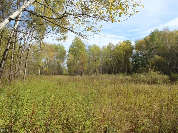 5204 420th Ave, Foley, MN 56329