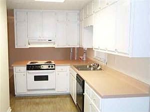 4th image of 401 Plantation Blvd