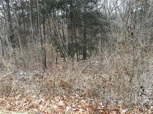 1706 Wild Horse Creek Rd photo 1
