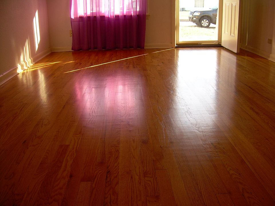 1st image of 511 Santa Monica St #1