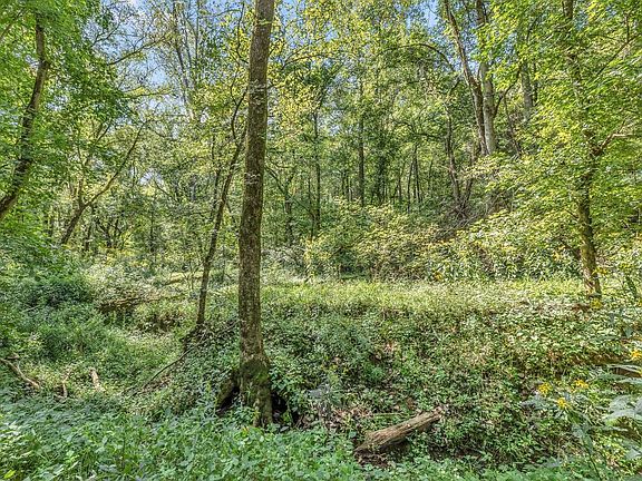 4th image of 0 Greencastle Rd