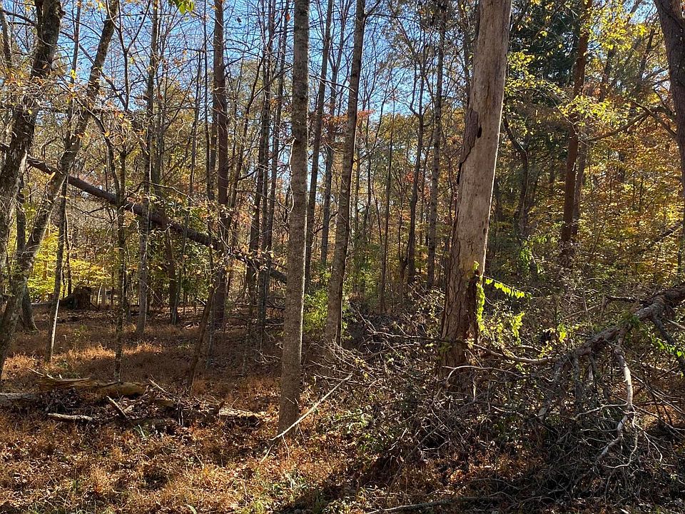 2nd image of Fox Hollow Rd