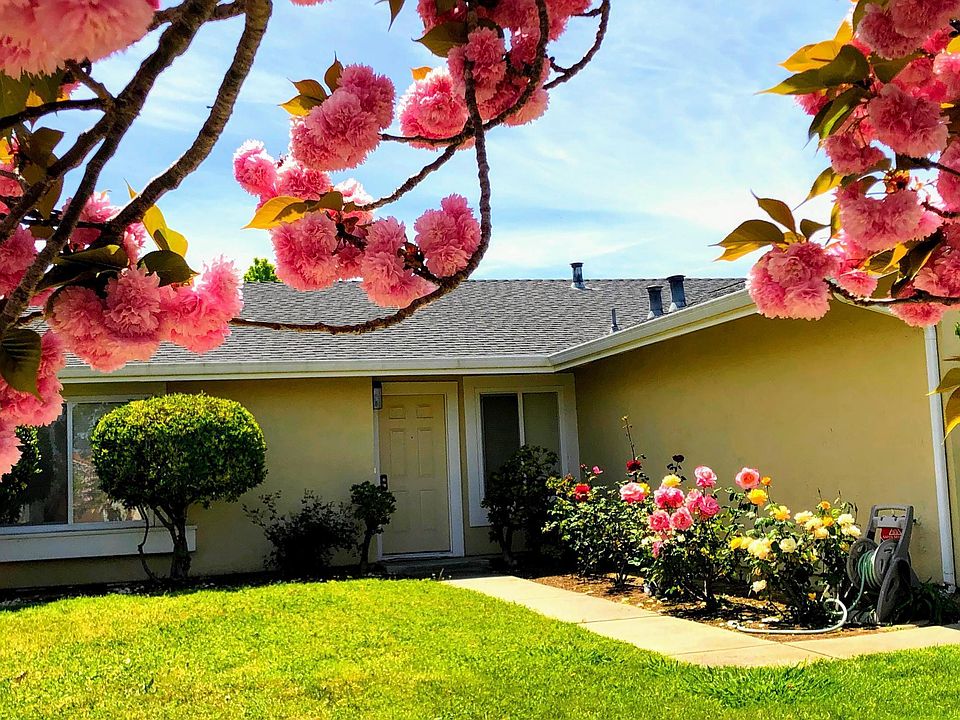 1st image of 33496 Bardolph Cir