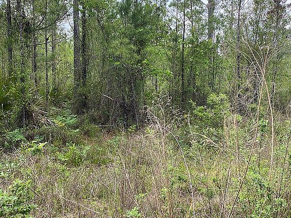 3rd image of 70 Satilla Plantation