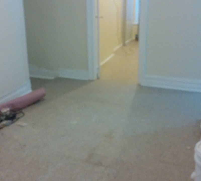 2nd image of 2549 Decatur Ave APT 2