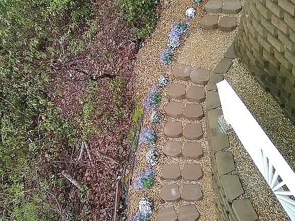 North side landscape steps