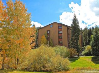 158 Ten Mile Cir, Breckenridge, CO 80443