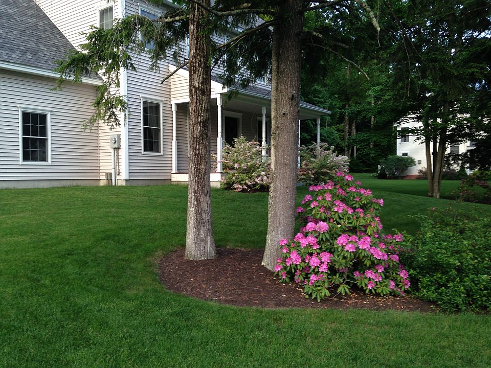 Mature landscaping