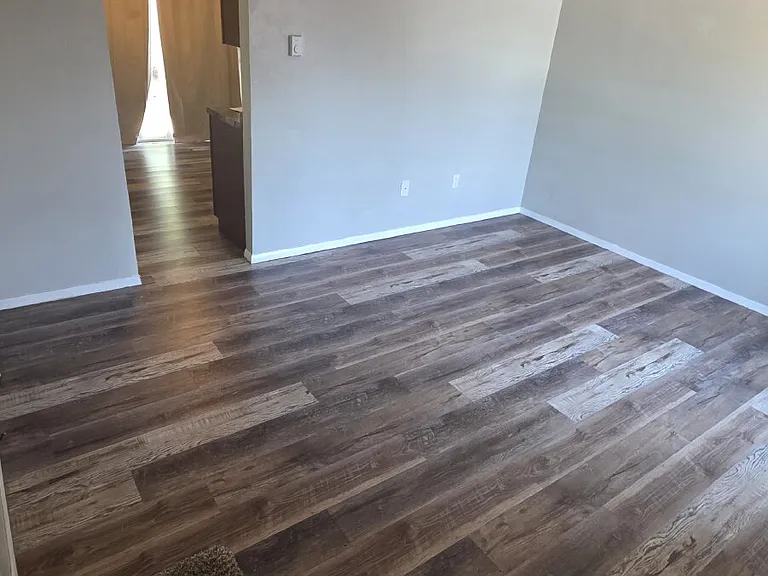 1162 Darby St — Photo 11