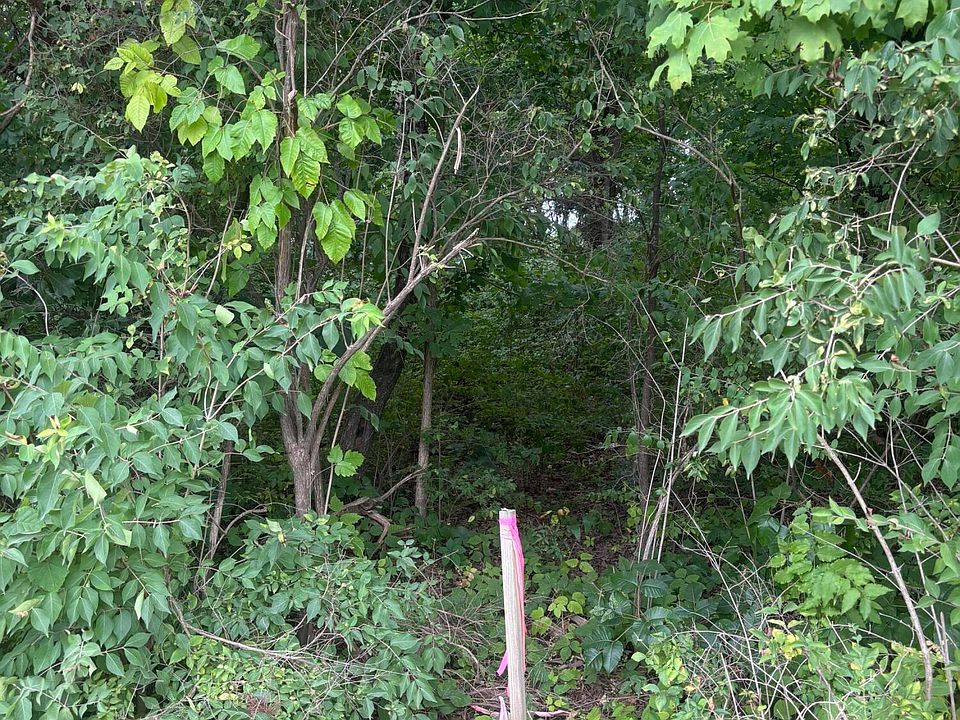 1st image of 107 Long Powers Rd