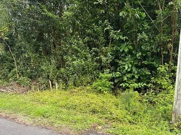 15-2765 Malolo St Lot 1025, Pahoa, HI 96778