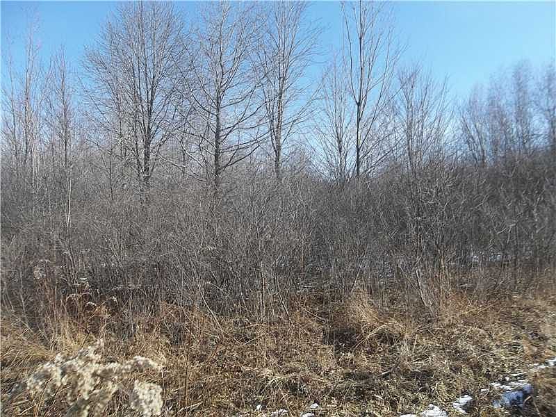 1st image of Buckeye Dr