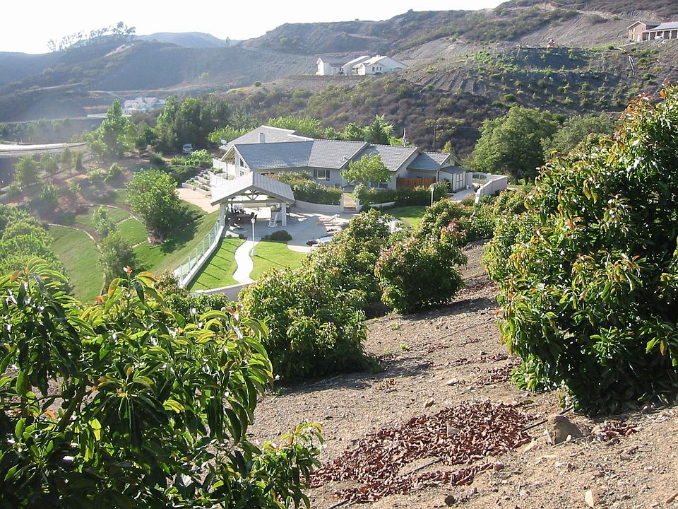 view from grove