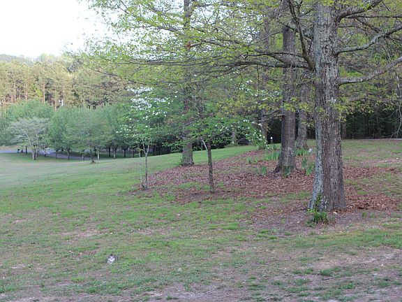 view from the front porch