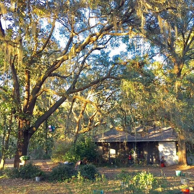 1st image of 2162 NW 31st Ave