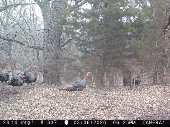 3rd image of 0 180th Rd