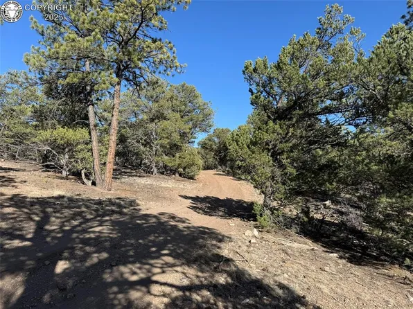 11th Trail I Path, Cotopaxi, CO 81223