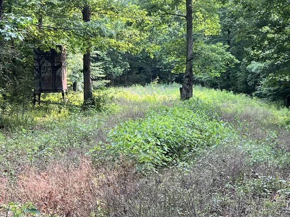 1 Cane Creek Rd, Hohenwald, TN 38462