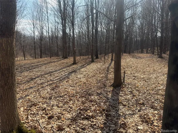 Fulton St, Mayville, MI 48744