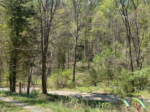 3rd image of 236 Buzzard Roost Rd Lot 1