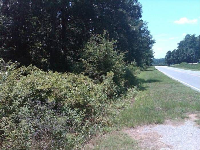 2nd image of 642 Patrick Mill Rd SW