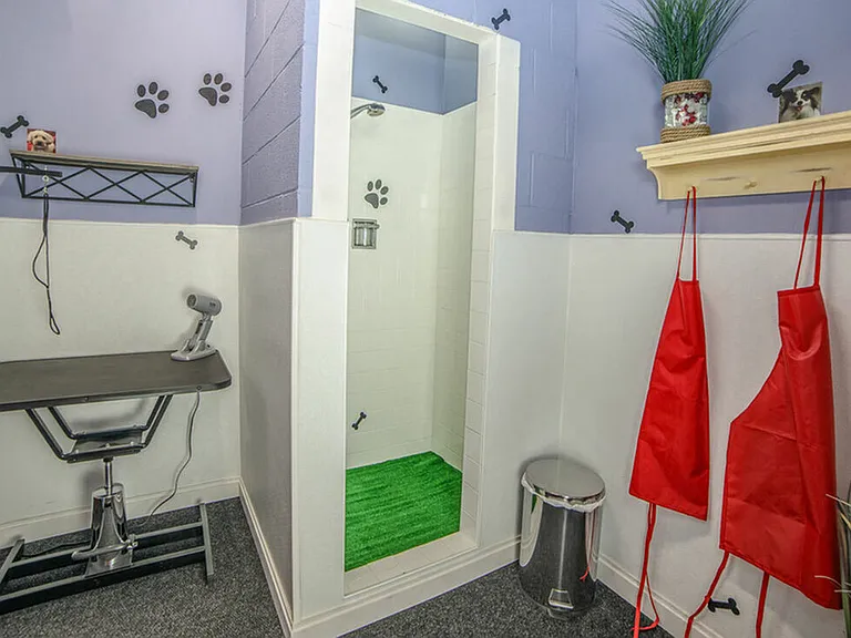 Shoreham Apartments — Photo 11