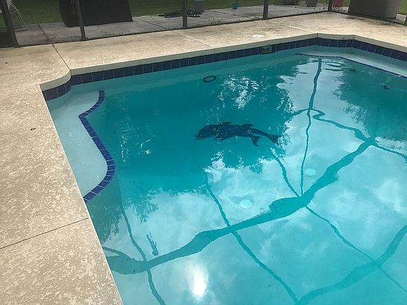 8 ‘ deep bottom mosaic 