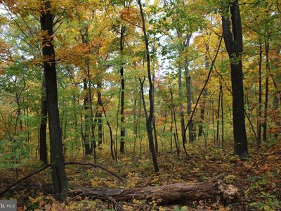 Sundown Rd, Gore, VA, 22637