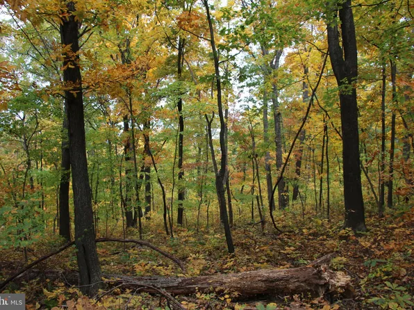 Sundown Rd, Gore, VA 22637