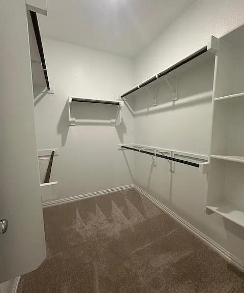 3205 Kiskadee Ct — Photo 29