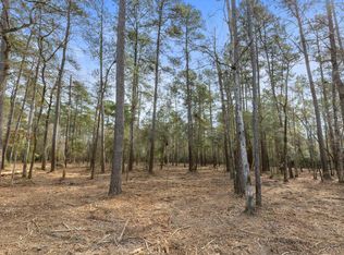 15880 Four Hills Rd, Willis, TX 77378