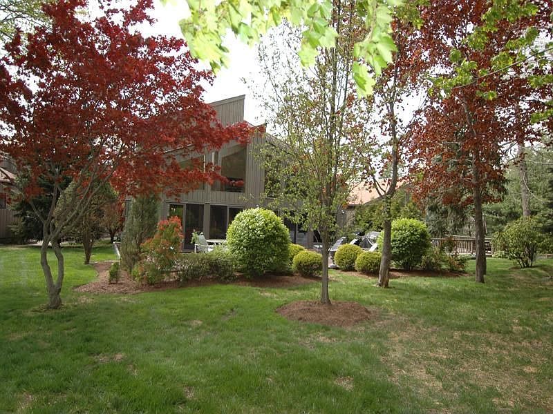 Sunny &amp;amp; Bright Contemporary