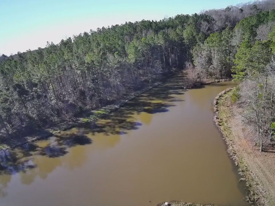 1st image of Magnolia Al Magnolia Al