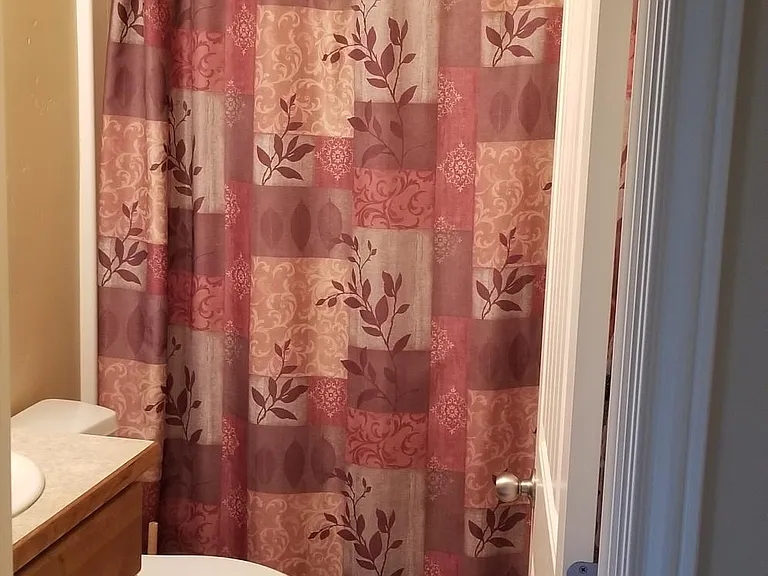 Guest bathroom