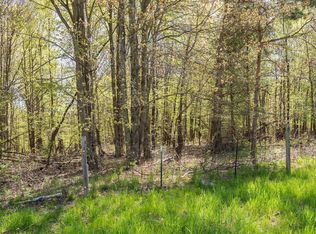 V/l Par 1 Algoma Ave, Cedar Springs, MI 49319