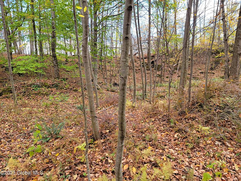 5th image of L6.113 NY State Route 22