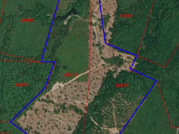 County Road 1150, Center, TX 75935