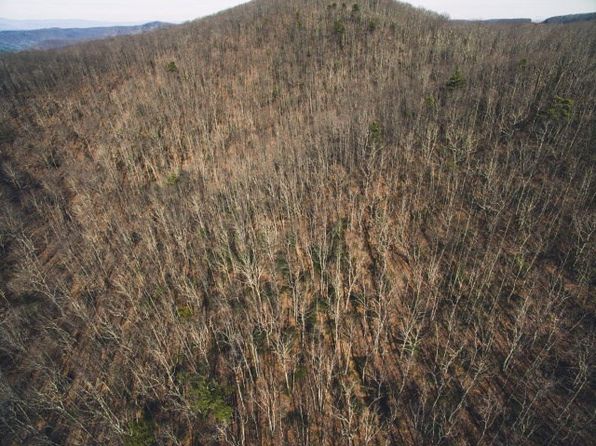0 Mack Mountain Rd, Hiwassee, VA 24347