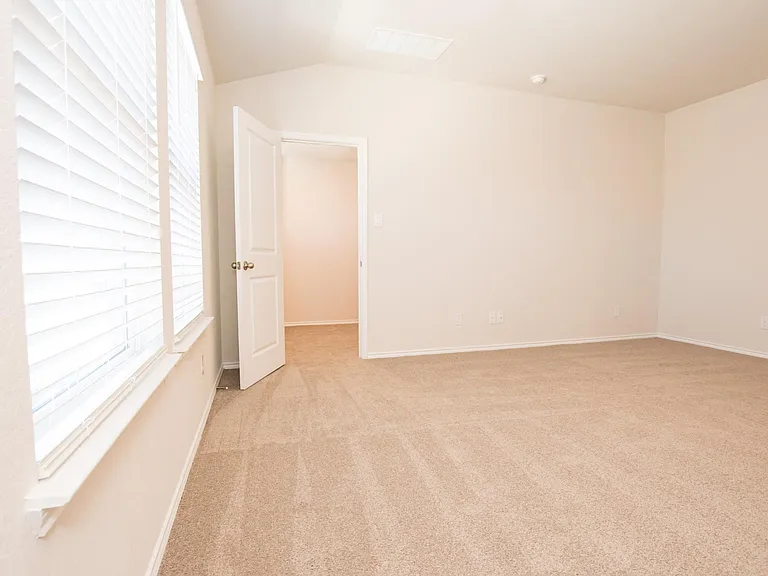 4811 Vogesite Path — Photo 17
