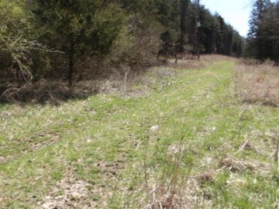 Baugh Hollow Ln LOT 6, Gainesboro, TN, 38562