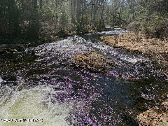 5th image of 206 Cranberry Creek Rd