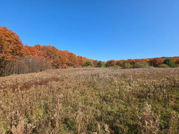 0WP Neff Hill Rd, Bainbridge, NY 13733