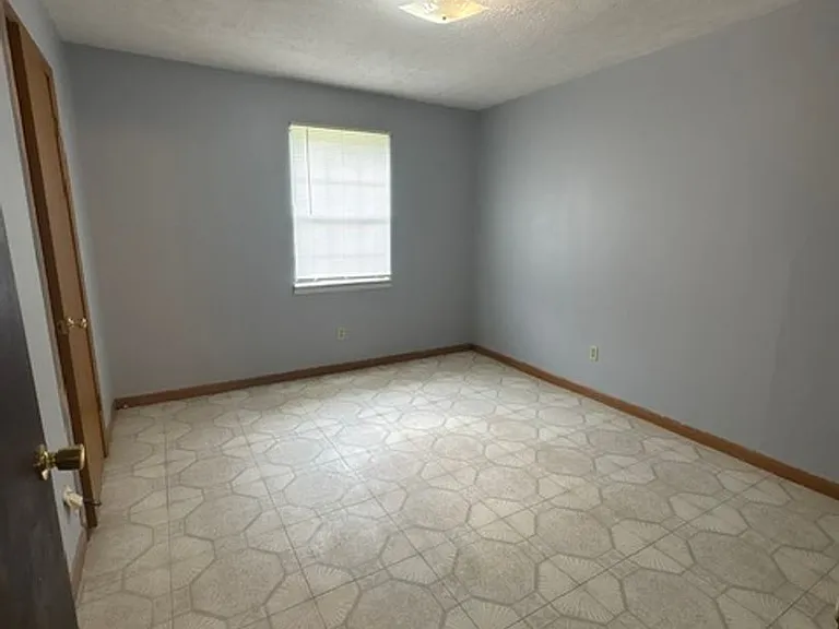 295 Homer Rd — Photo 8