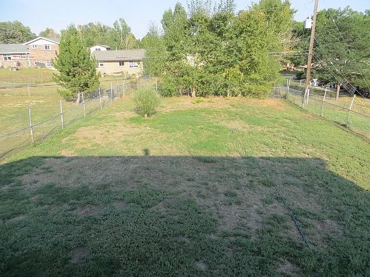 Back yard